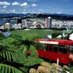 thumb-wellington_300x100000 thumb-wellington_300x100000